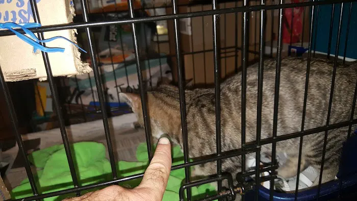 Flushing Veterinary Hospital Picture 5