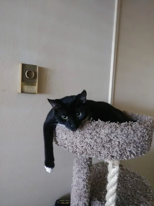 Petco Picture 10