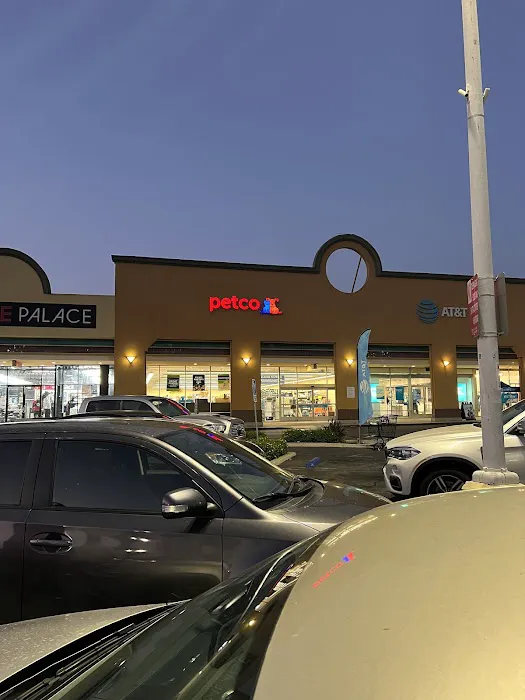 Petco Picture 2
