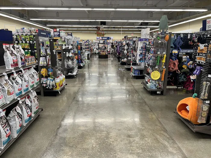 Petco Picture 7