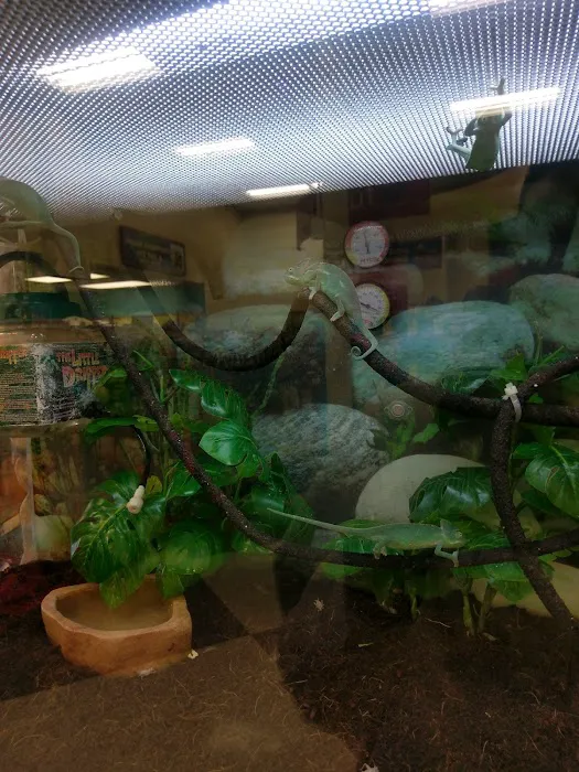 Petco Picture 6