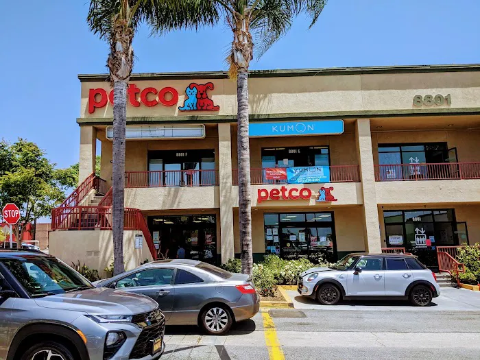 Petco Picture 8