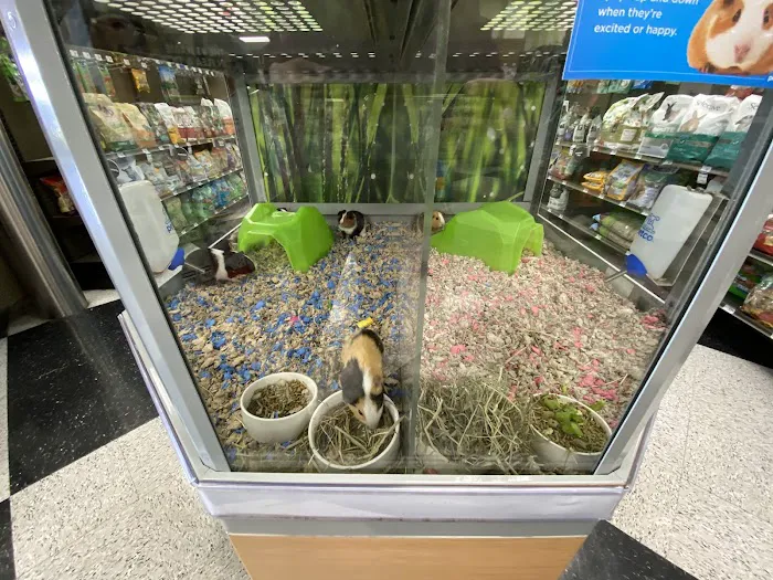 Petco Picture 3