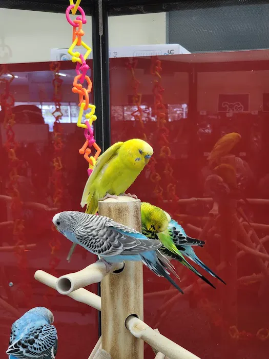 Petco Picture 2