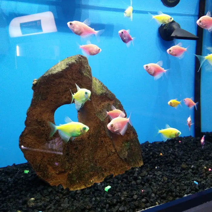 Petco Picture 4