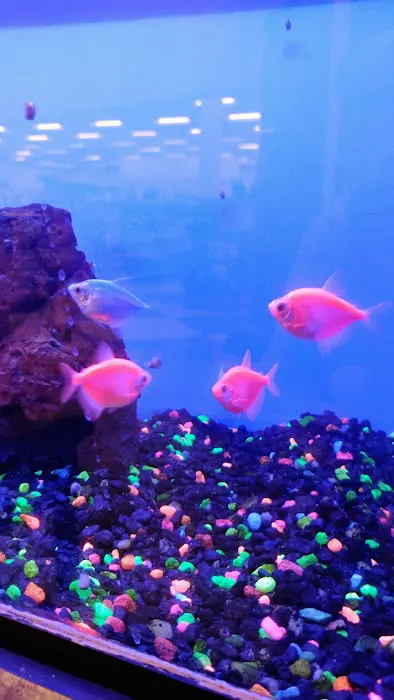 Petco Picture 6
