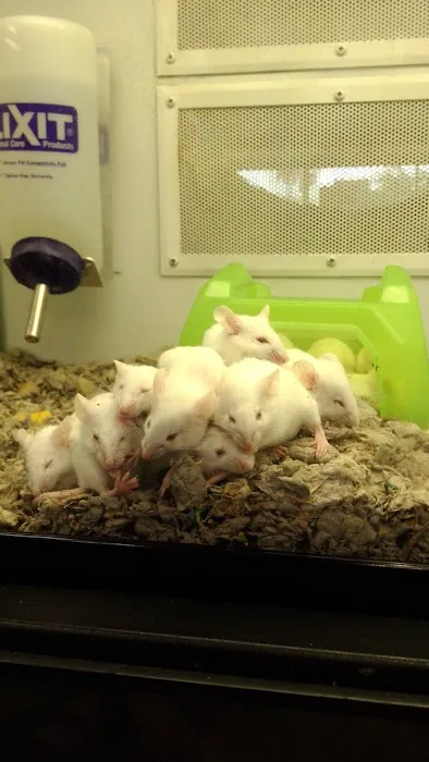 Petco Picture 9
