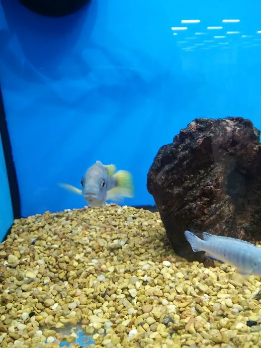 Petco Picture 7