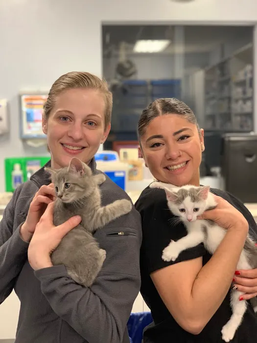 Veterinary Care Group - Little Neck Picture 3