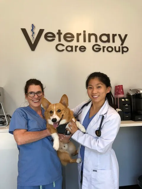 Veterinary Care Group - Little Neck Picture 6