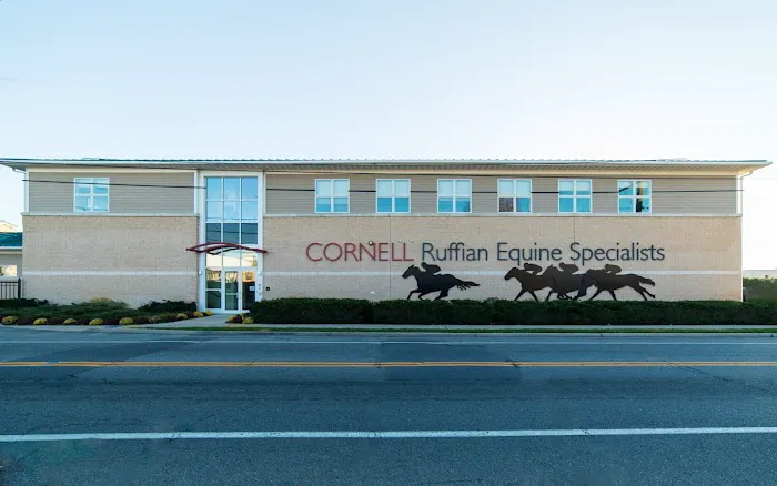 Cornell Ruffian Equine Specialists Picture 2