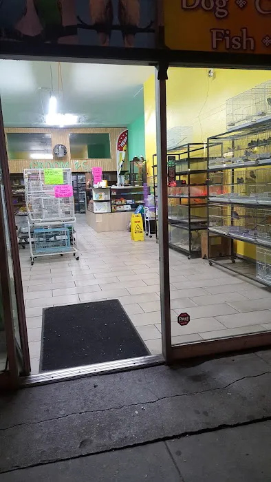 Pete’s Pet Supply Picture 3