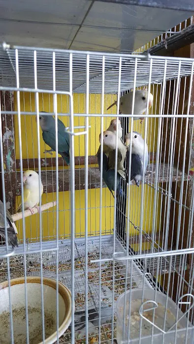 Pete’s Pet Supply Picture 10
