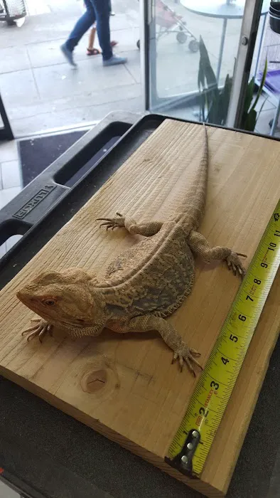 Pete’s Pet Supply Picture 9