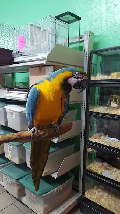 Pete’s Pet Supply Picture 8