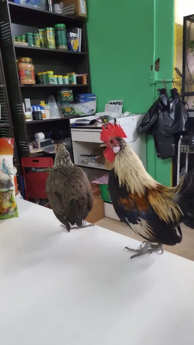 Pete’s Pet Supply Picture 2
