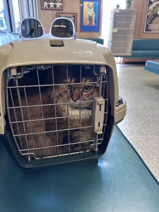 A & A Veterinary Hospital Picture 1