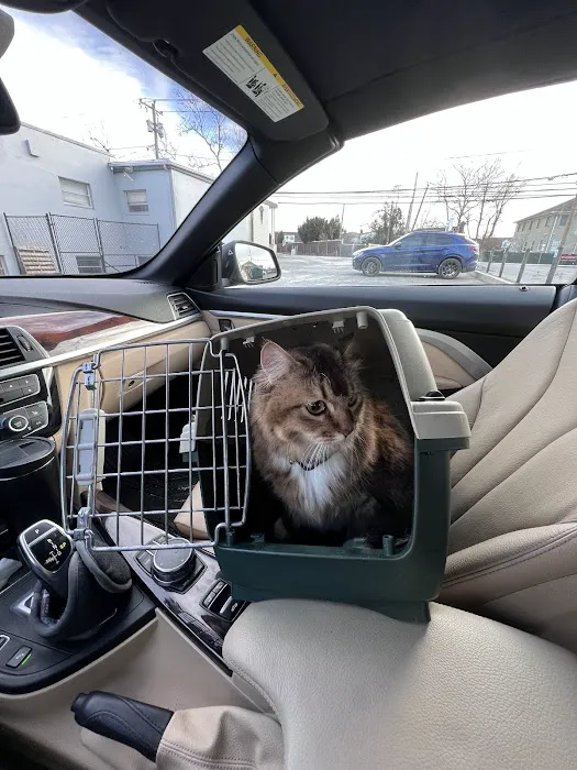A & A Veterinary Hospital Picture 9