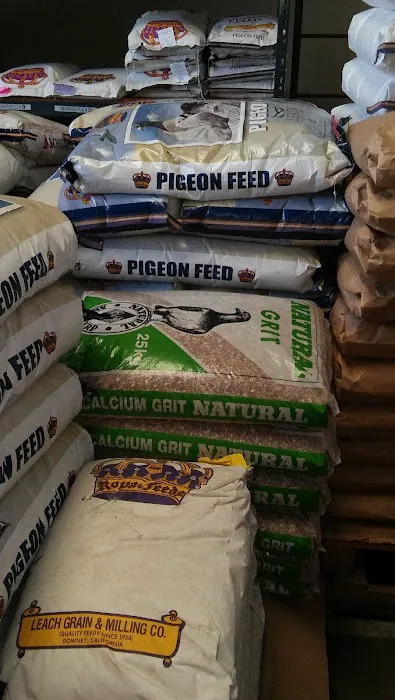 Jedds Bird Supplies Picture 10