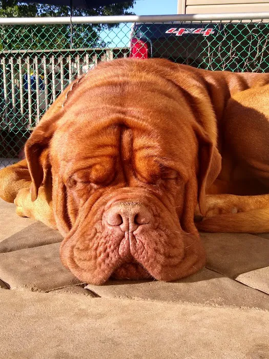 Crawford Animal Hospital Picture 6