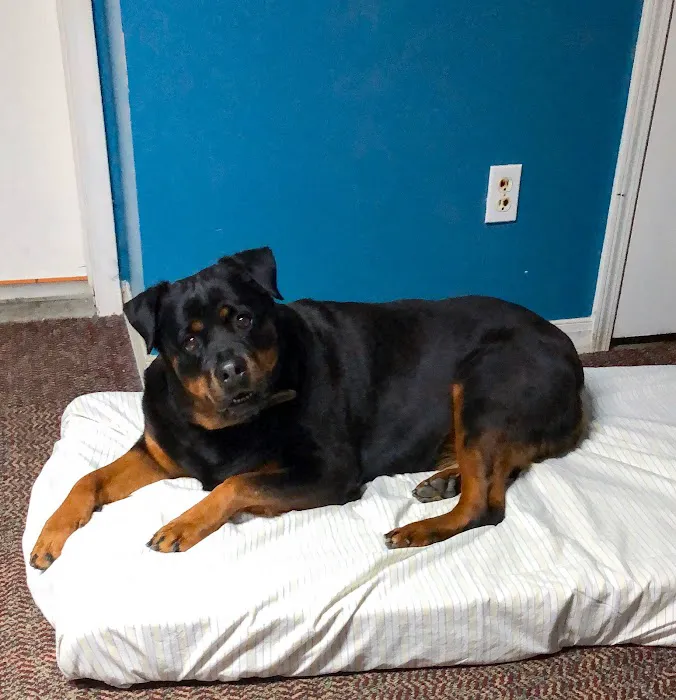 Crawford Animal Hospital Picture 7
