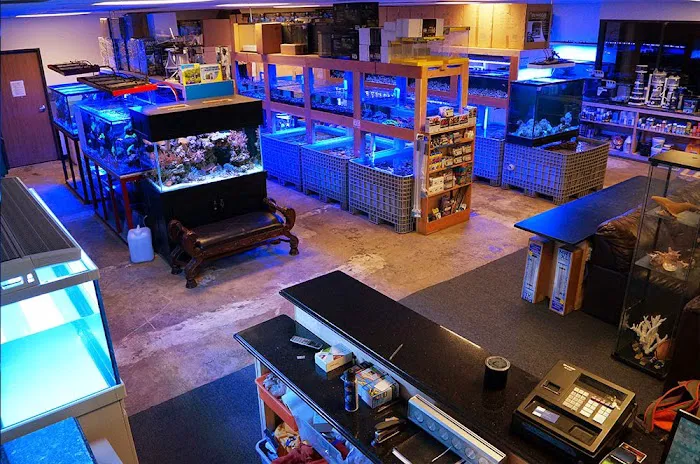 Reef Lounge USA Picture 9