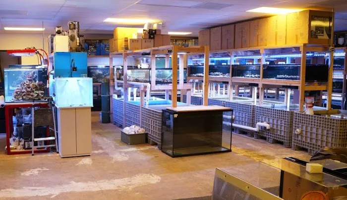 Reef Lounge USA Picture 6