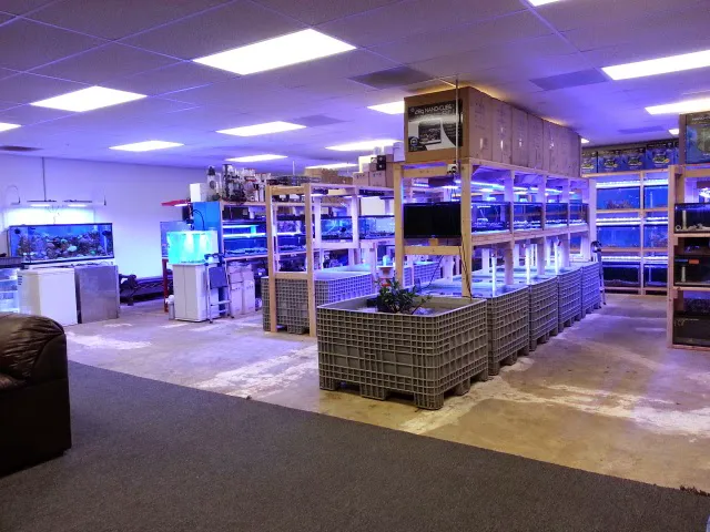 Reef Lounge USA Picture 10