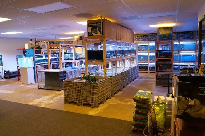 Reef Lounge USA Picture 8