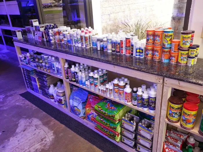 Reef Lounge USA Picture 4