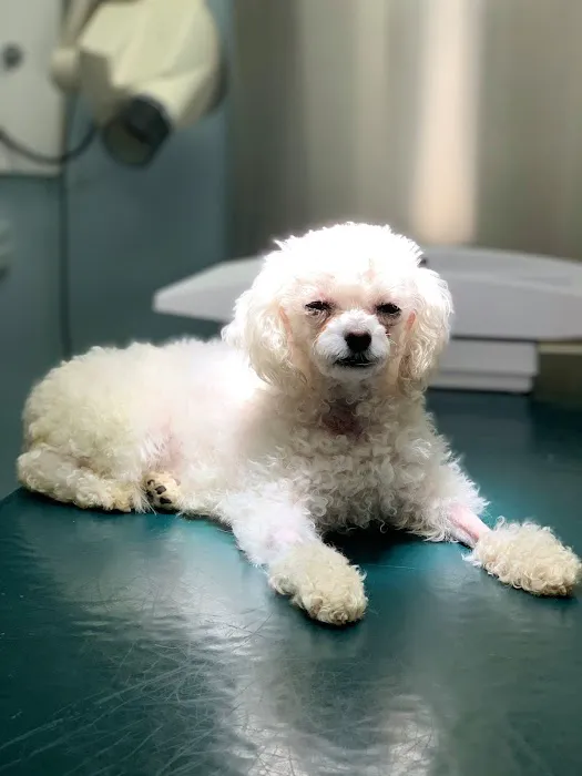 Broadway Veterinary Care Picture 5
