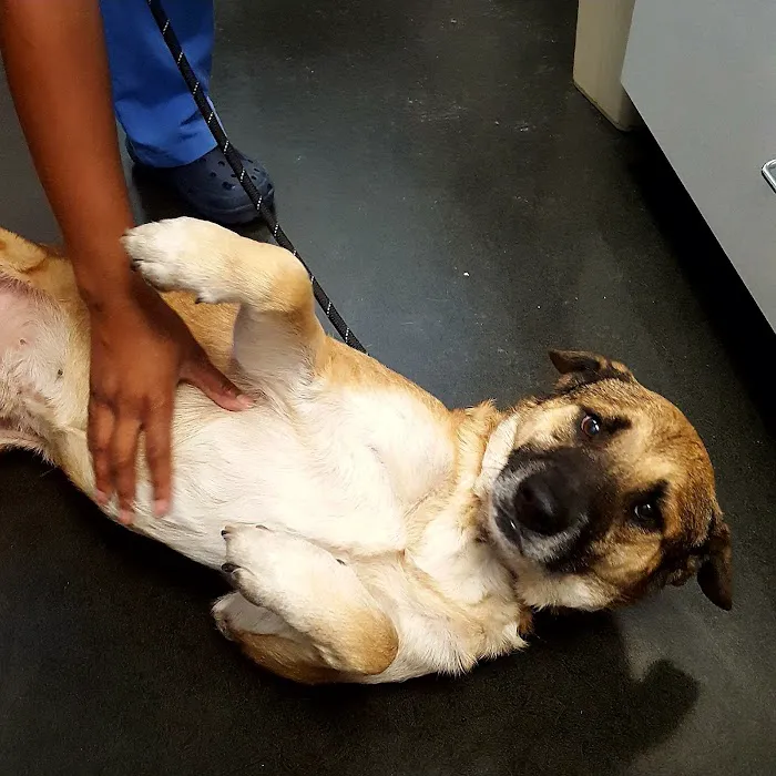 Broadway Veterinary Care Picture 9