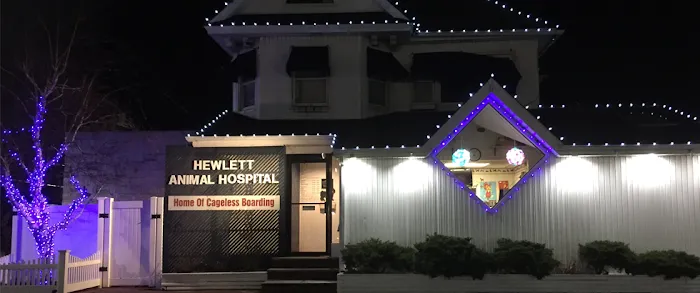 Hewlett Animal Hospital & Pet Resort Picture 10