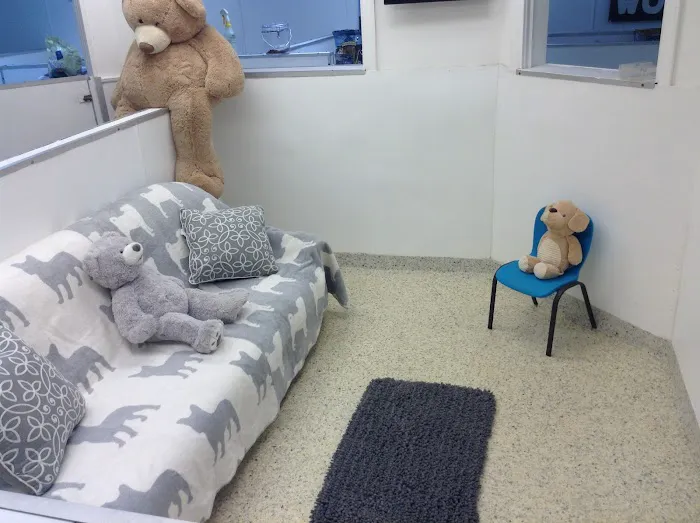 Hewlett Animal Hospital & Pet Resort Picture 1