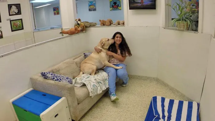 Hewlett Animal Hospital & Pet Resort Picture 8