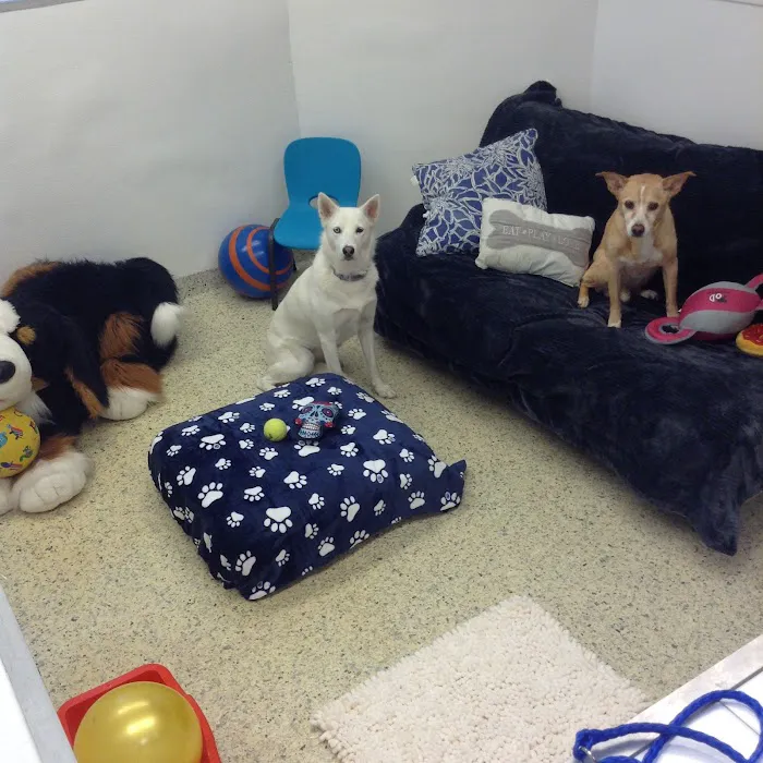 Hewlett Animal Hospital & Pet Resort Picture 3