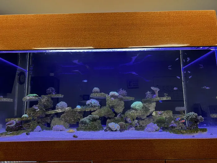 Reef factory us Picture 6
