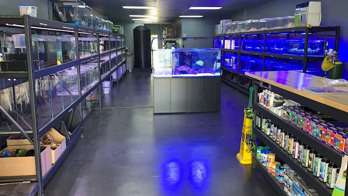 Reef factory us Picture 9