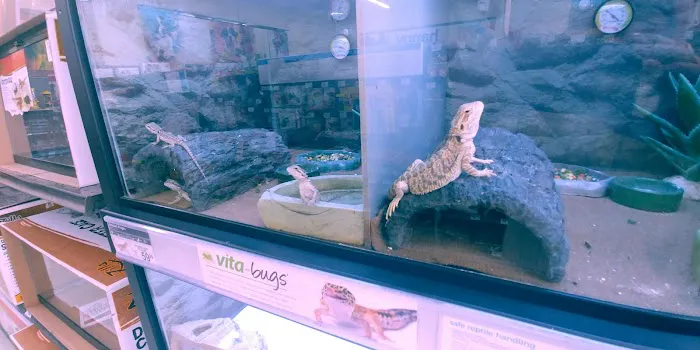 Petco Picture 5