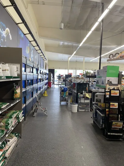 Petco Picture 1