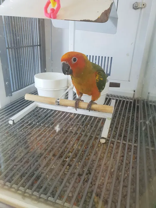 Petco Picture 8
