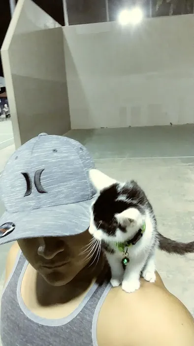 Petco Picture 4