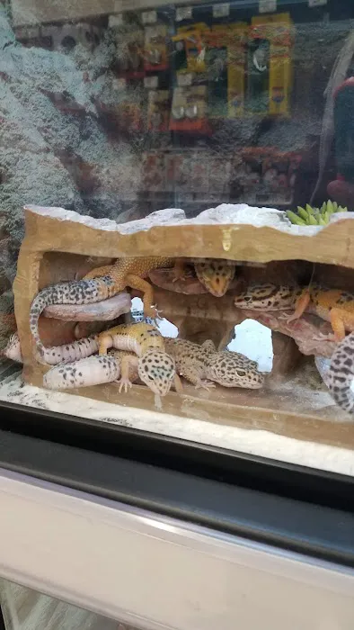 Petco Picture 3