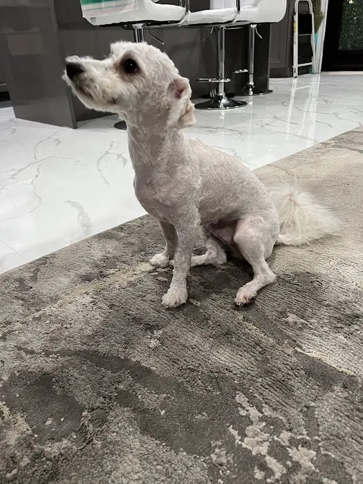 Assisi Veterinary Hospital Picture 4