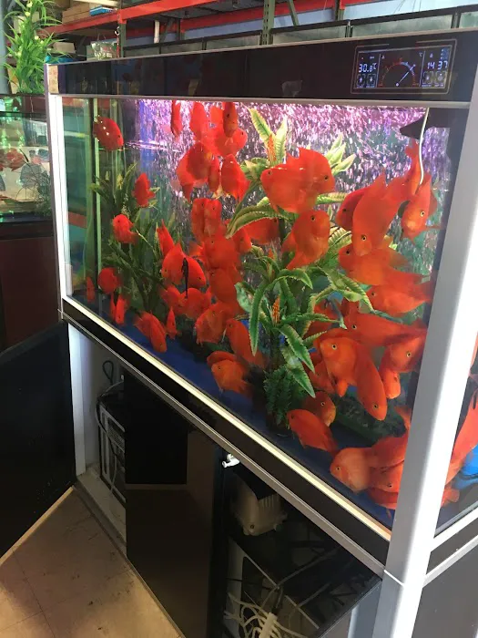 House Aquarium Picture 9