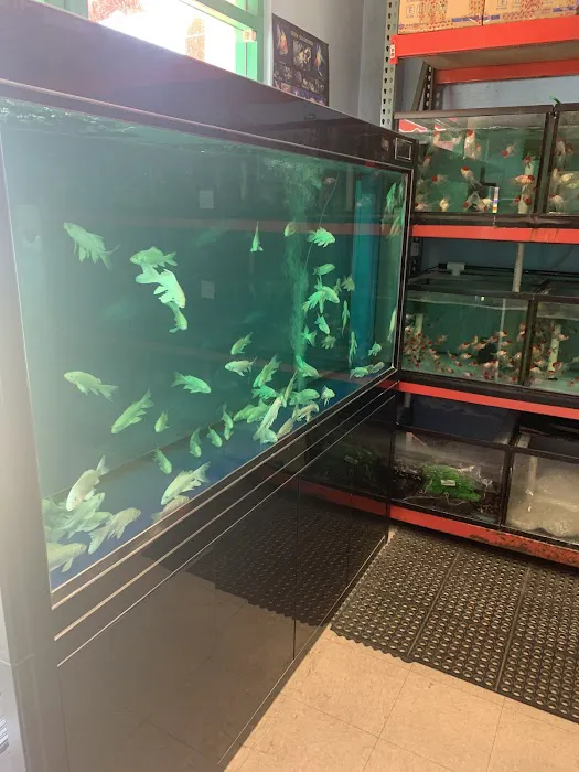 House Aquarium Picture 2