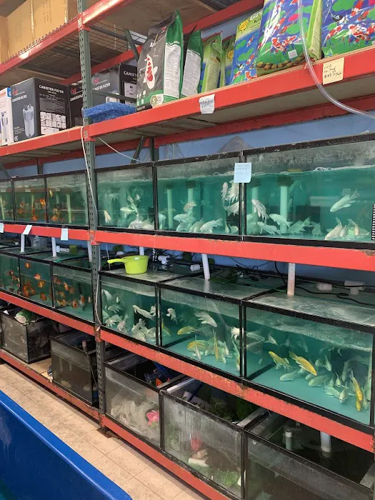 House Aquarium Picture 3