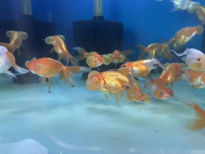 House Aquarium Picture 5