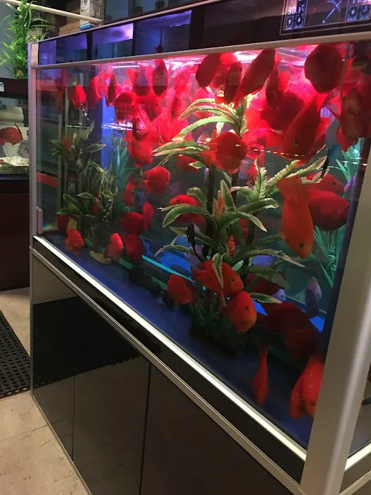 House Aquarium Picture 6