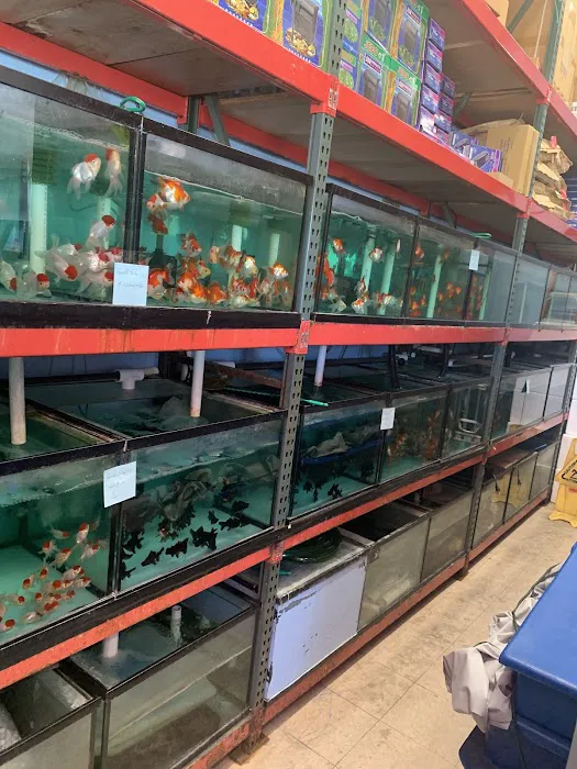 House Aquarium Picture 7